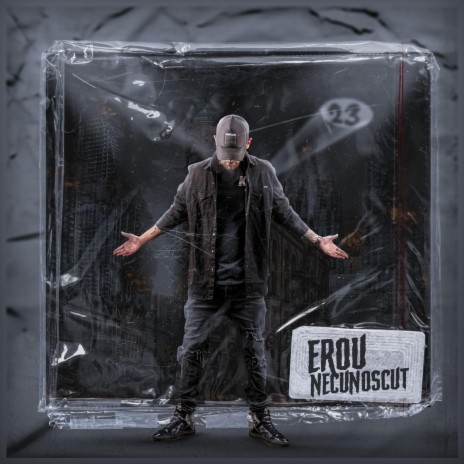 Erou Necunoscut | Boomplay Music