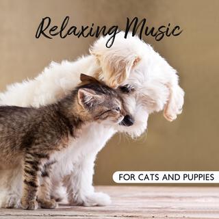 Relaxing Music for Cats and Puppies: Calm Down Stressed or Anxious Cats and Puppies