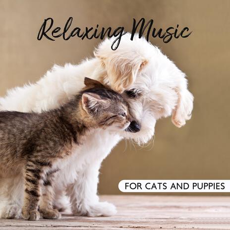 Relaxing Cat Music