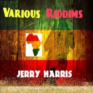 VARIOUS RIDDIMS