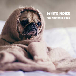 White Noise for Stressed Dogs