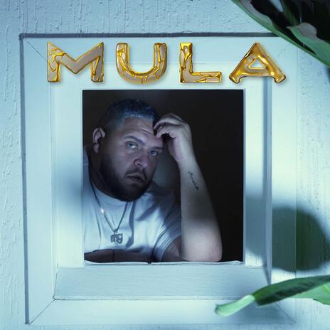 Mula