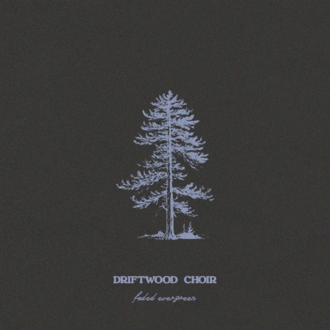 Faded Evergreen ft. Portair & Driftwood Choir | Boomplay Music