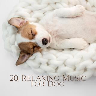 20 Relaxing Music for Dog: Calming Songs for Dog and Puppies