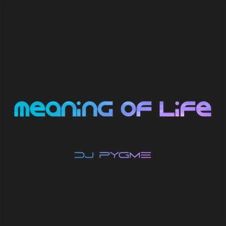 Meaning of Life | Boomplay Music