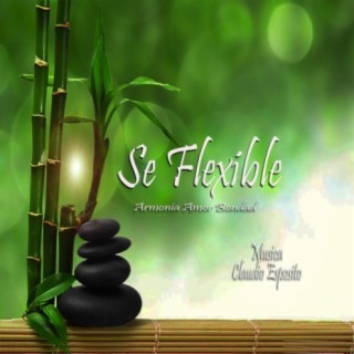 Se Flexible