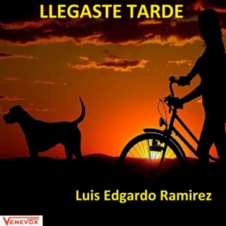 Llegaste Tarde