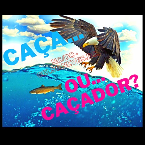 Caça ou Caçador | Boomplay Music