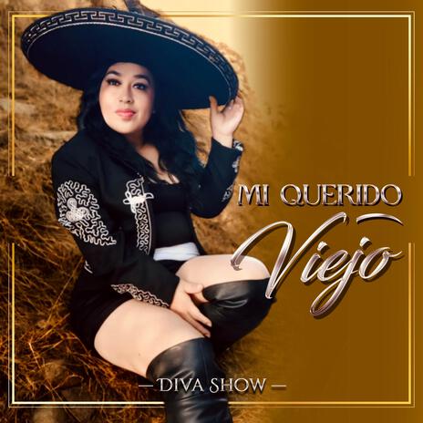 Mi Querido Viejo | Boomplay Music