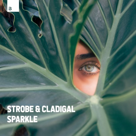 Sparkle ft. Cladigal | Boomplay Music