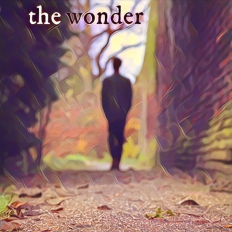 The Wonder | Boomplay Music