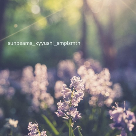 Sunbeams ft. smplsmth | Boomplay Music