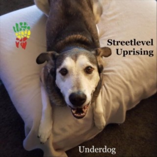 Streetlevel Uprising