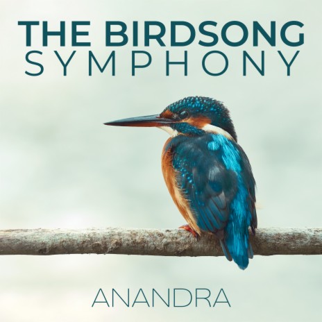 Birdsongs by the River | Boomplay Music