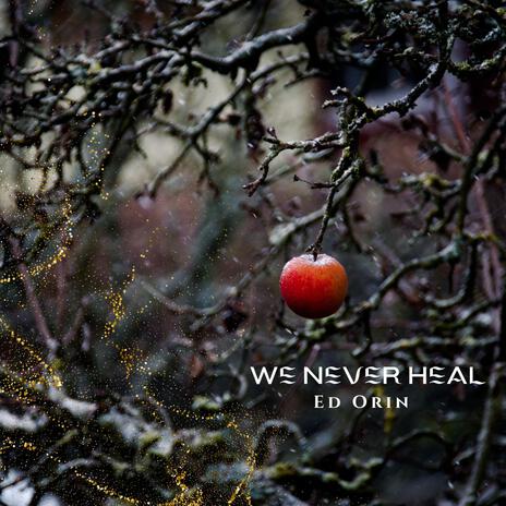 We Never Heal | Boomplay Music