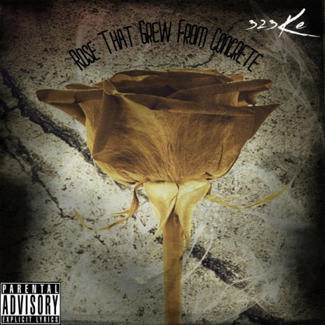 Rose That Grew from Concrete 🅴 | Boomplay Music