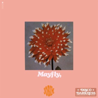 Mayfly,