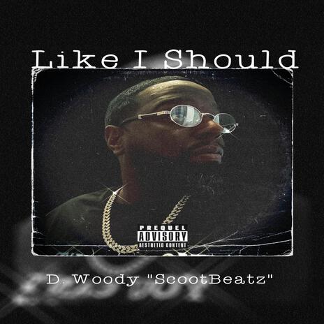 Like I Should | Boomplay Music