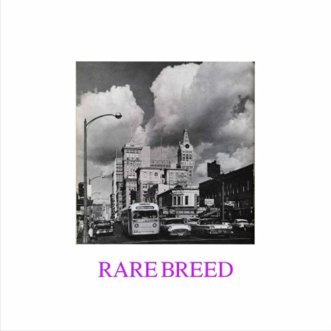 RARE BREED | Boomplay Music