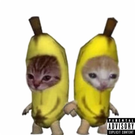 Banana Cat 2