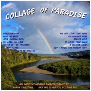 COLLAGE OF PARADISE VOL 1