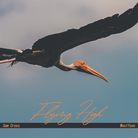 Flying High ft. Sam Cross | Boomplay Music