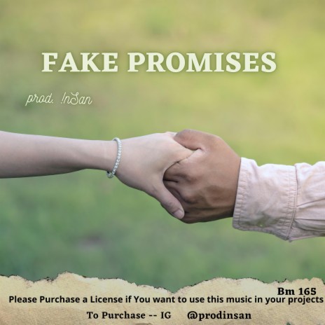 Fake Promises | Boomplay Music