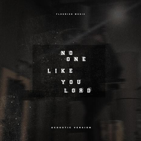 No One Like You Lord (Acoustic Version) ft. Jaime Dodson | Boomplay Music