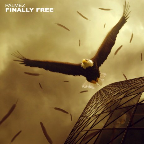 Finally Free (Radio Edit) | Boomplay Music