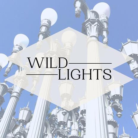 Wild Lights | Boomplay Music