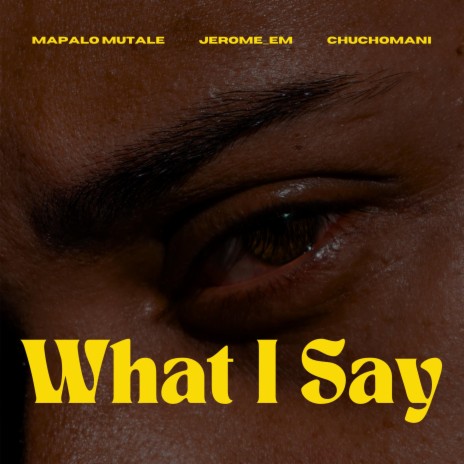What I Say (feat. Jerome_Em & Chuchomani) | Boomplay Music