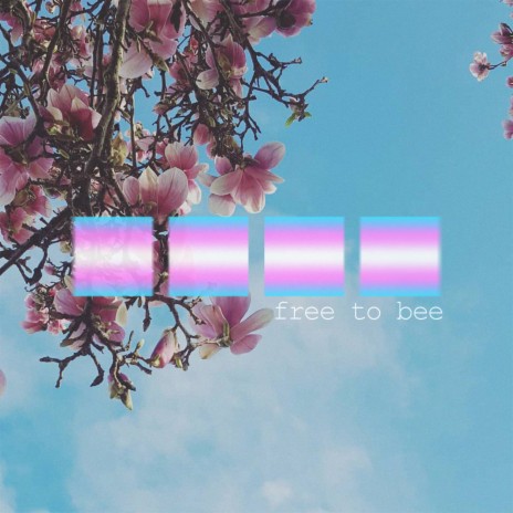 free to bee | Boomplay Music
