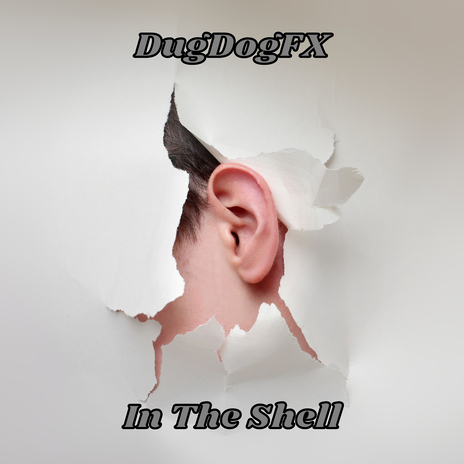 In the Shell | Boomplay Music