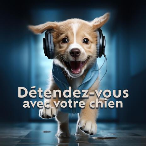 Chien de méditation | Boomplay Music