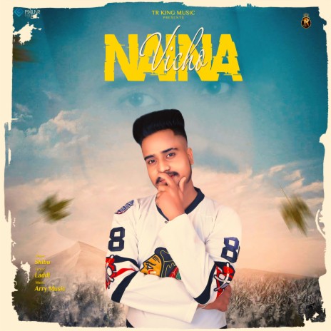 Naina Vicho | Boomplay Music