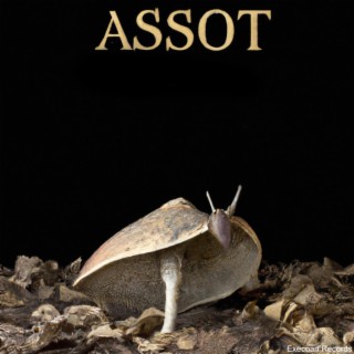 Assot