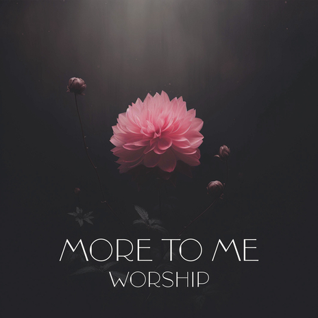 More To Me // Rescue ft. Shawna Starbird & Mass Anthem | Boomplay Music