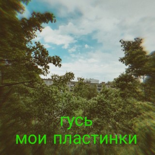 Гусь