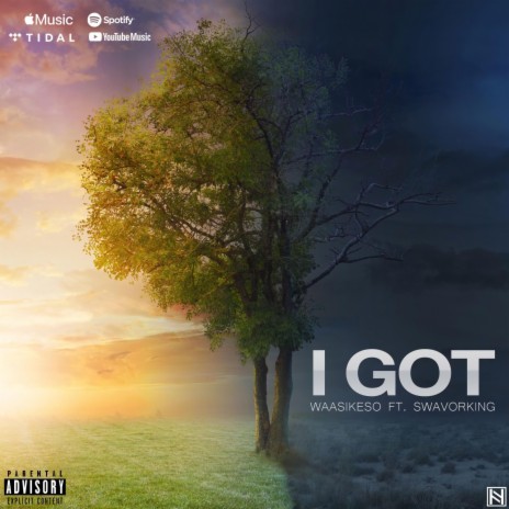 I Got (feat. SwavorKing) | Boomplay Music
