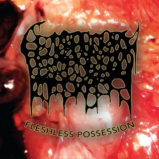 Fleshless Possession