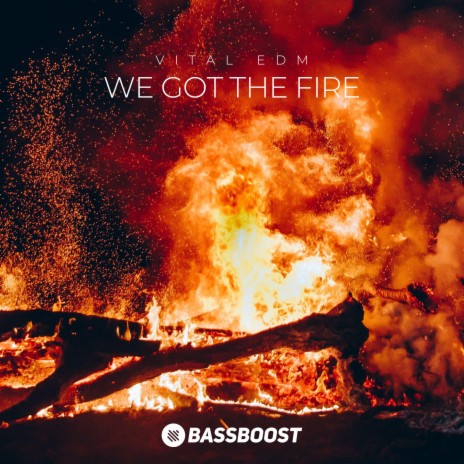 We Got The Fire ft. Vital EDM