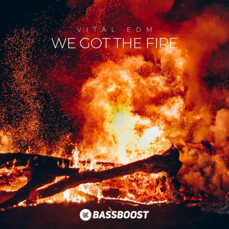 We Got The Fire ft. Vital EDM | Boomplay Music