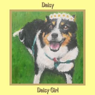 Daisy lyrics | Boomplay Music