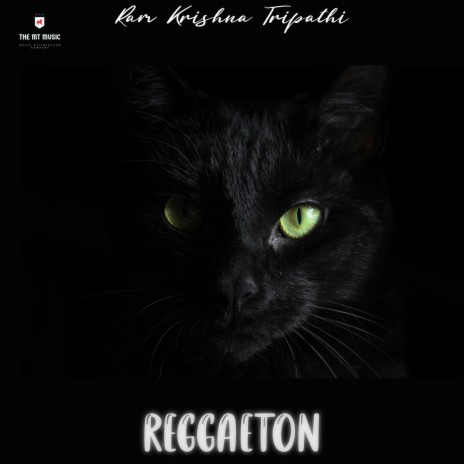 Blackcat Reggaeton ft. The MT Music | Boomplay Music