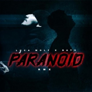 Paranoid (Erk Gotti Remix)
