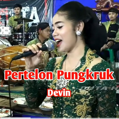 Pertelon Pungkruk | Boomplay Music