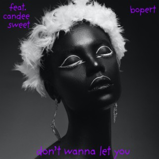 don't wanna let you