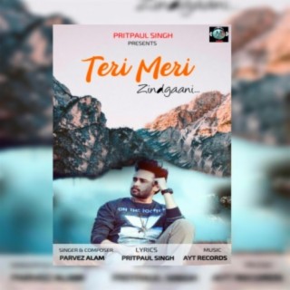 Teri Meri Zindgaani (feat. Parvez Alam)