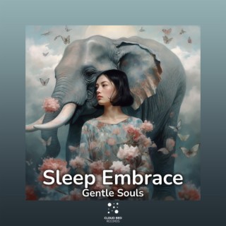 Sleep Embrace