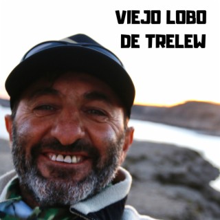 Viejo Lobo de Trelew